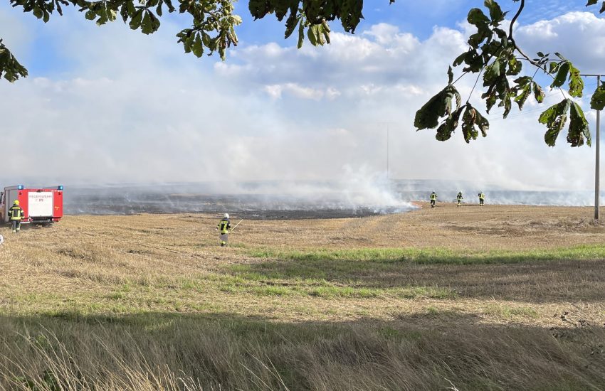 Stoppelackerbrand Schossin 10.08.2023
