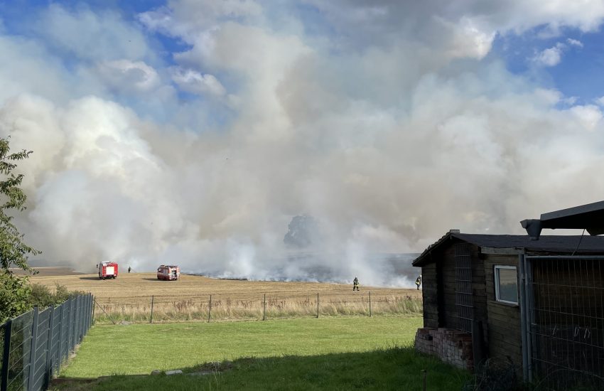 Stoppelackerbrand Schossin 10.08.2023